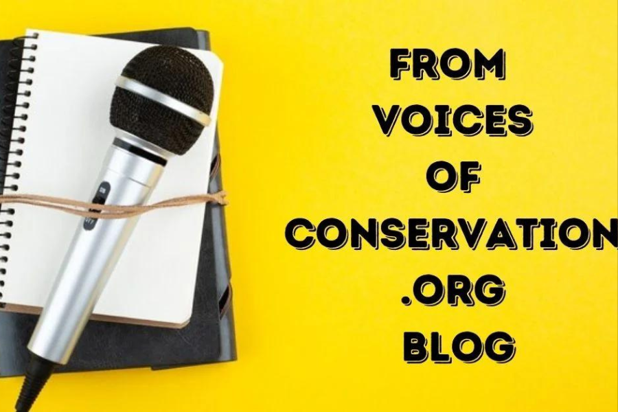 From Voicesofconservation.org Blog: Understanding the Role of Technology in Modern Conservation Efforts