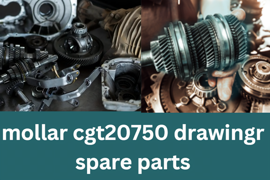 mollar cgt20750 drawingr spare parts