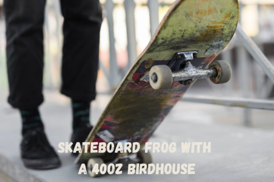 The Skateboard Frog with a 40oz Birdhouse: A Whimsical Fusion of Art and Nature